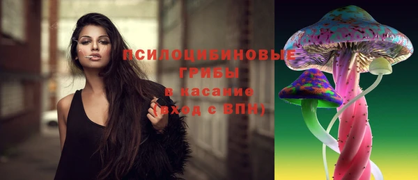 прущая мука Переславль-Залесский