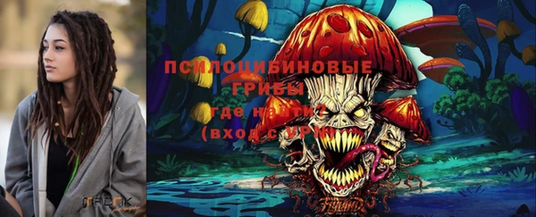 прущая мука Переславль-Залесский