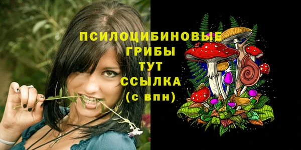 меф Пестово