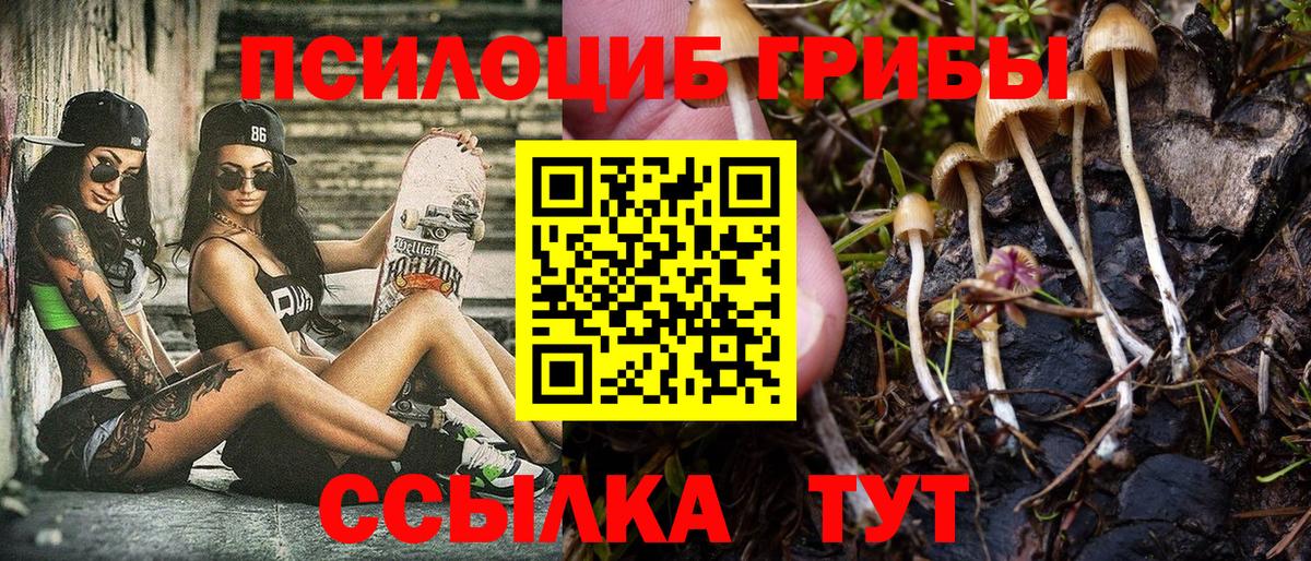 Псилоцибиновые грибы Psilocybe Сланцы
