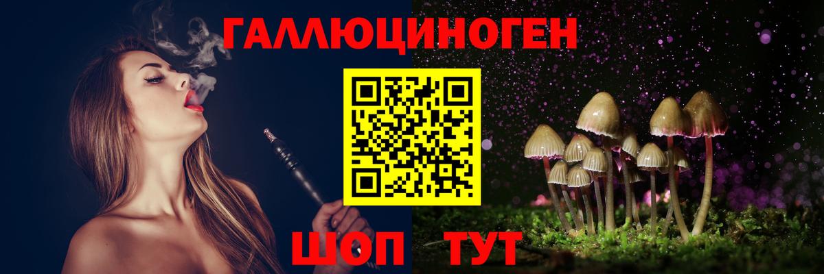 Галлюциногенные грибы Psilocybe  закладка  Сланцы  Вход с VPN 